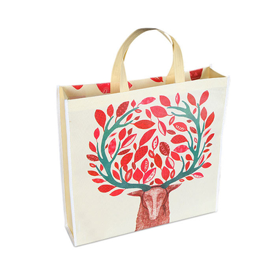 Anti pp bactériens ont stratifié le sac non tissé de poignée anti-rétrécissement ont adapté le sac aux besoins du client non tissé