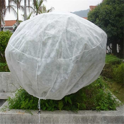 Tissu non-tissé agricole 165gsm de pp Spunbond respirable