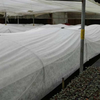 de l'agriculture 160gsm larme blanche du textile tissé 190cm non résistante