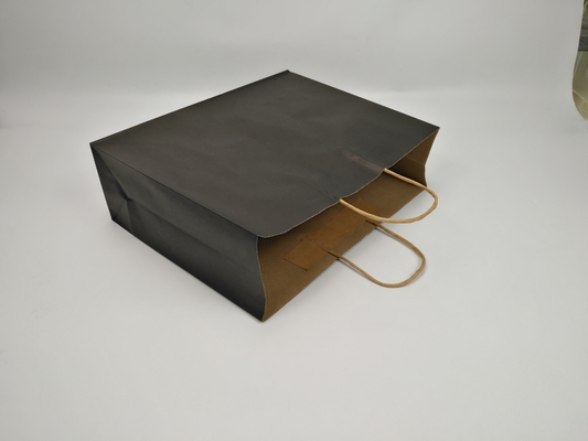Sac-cadeau en papier biodégradable adapté aux besoins du client avec des achats de thé de papier d'emballage de cadeau de poignées