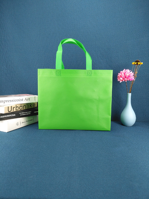 Fait sur commande réutilisé a imprimé le sac d'épicerie biodégradable non tissé d'emballage des prix de sac à provisions avec les sacs non tissés découpés avec des matrices de la poignée pp