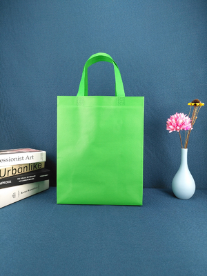 Fait sur commande réutilisé a imprimé le sac d'épicerie biodégradable non tissé d'emballage des prix de sac à provisions avec les sacs non tissés découpés avec des matrices de la poignée pp