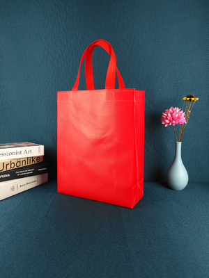 Les sacs à provisions réutilisables de supermarché favorable à l'environnement fait sur commande de sac réutilisent le sac non tissé stratifié par pp d'épicerie