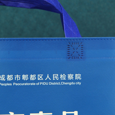 Sac à provisions écologique stratifié de Tote Polypropylene Non Woven Bags