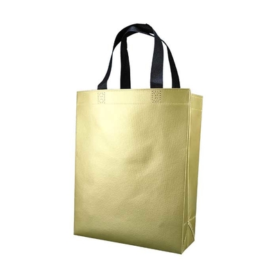 Sac biodégradable non non tissé réutilisable de textile tissé de sacs à provisions de Spunbonded