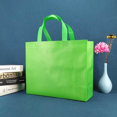 Non tissé promotionnel écologique sac à provisions le sac non tissé de chaussure du vert 50gsm