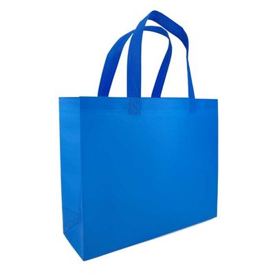 Sac à provisions résistant du polypropylène 80Gsm de larme écologique