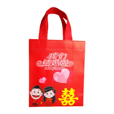 Polypropylène stratifié favorable à l'environnement Tote Bags For Shopping