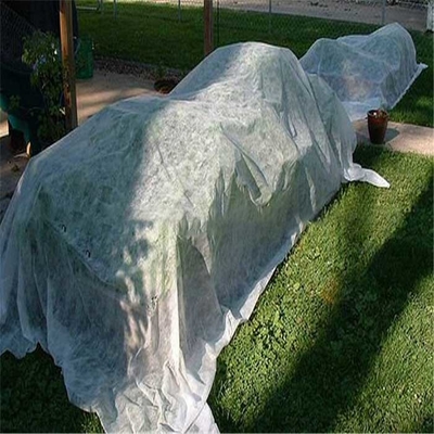 Tissu non-tissé agricole 165gsm de pp Spunbond respirable