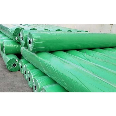de l'agriculture 200gsm vert du textile tissé 320cm non pour des usines de parc