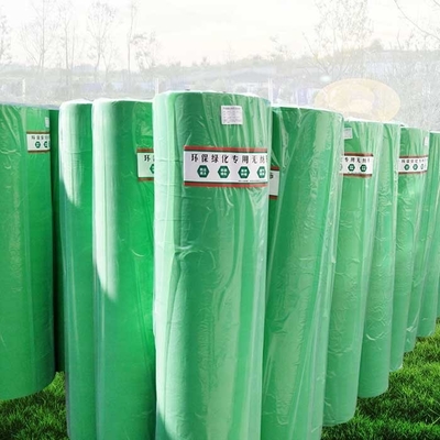 de l'agriculture 200gsm vert du textile tissé 320cm non pour des usines de parc