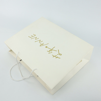 Réutilisable pliable fait sur commande de Logo Paper Bag Shopping Packaging de transporteur de boutique