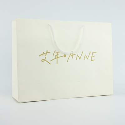 Réutilisable pliable fait sur commande de Logo Paper Bag Shopping Packaging de transporteur de boutique